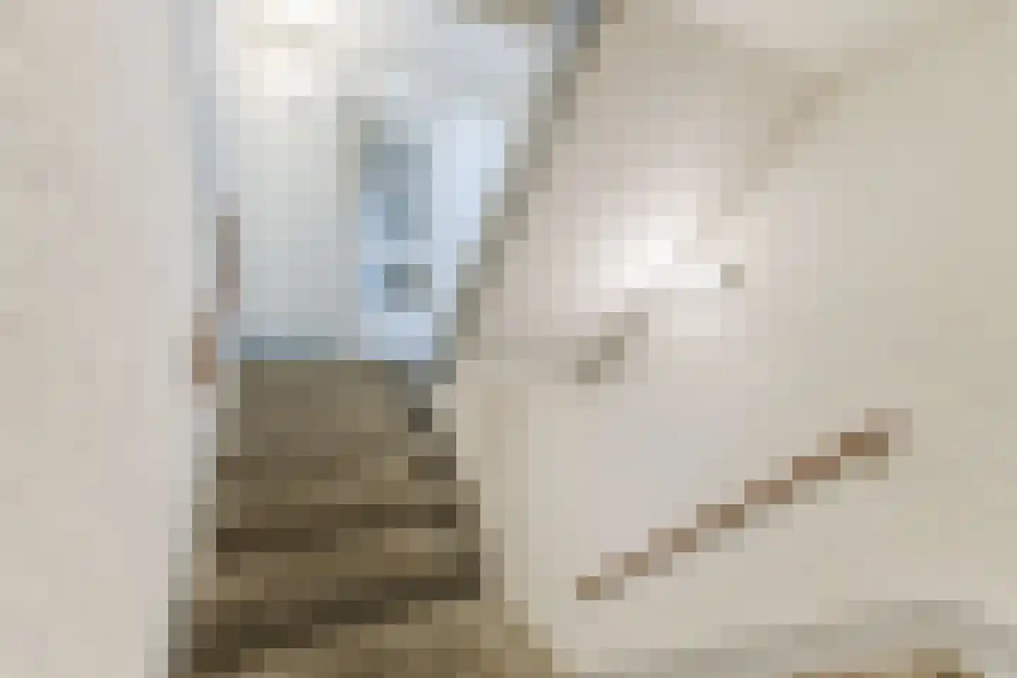 Voorterweg 208 Eindhoven thumbnail 8