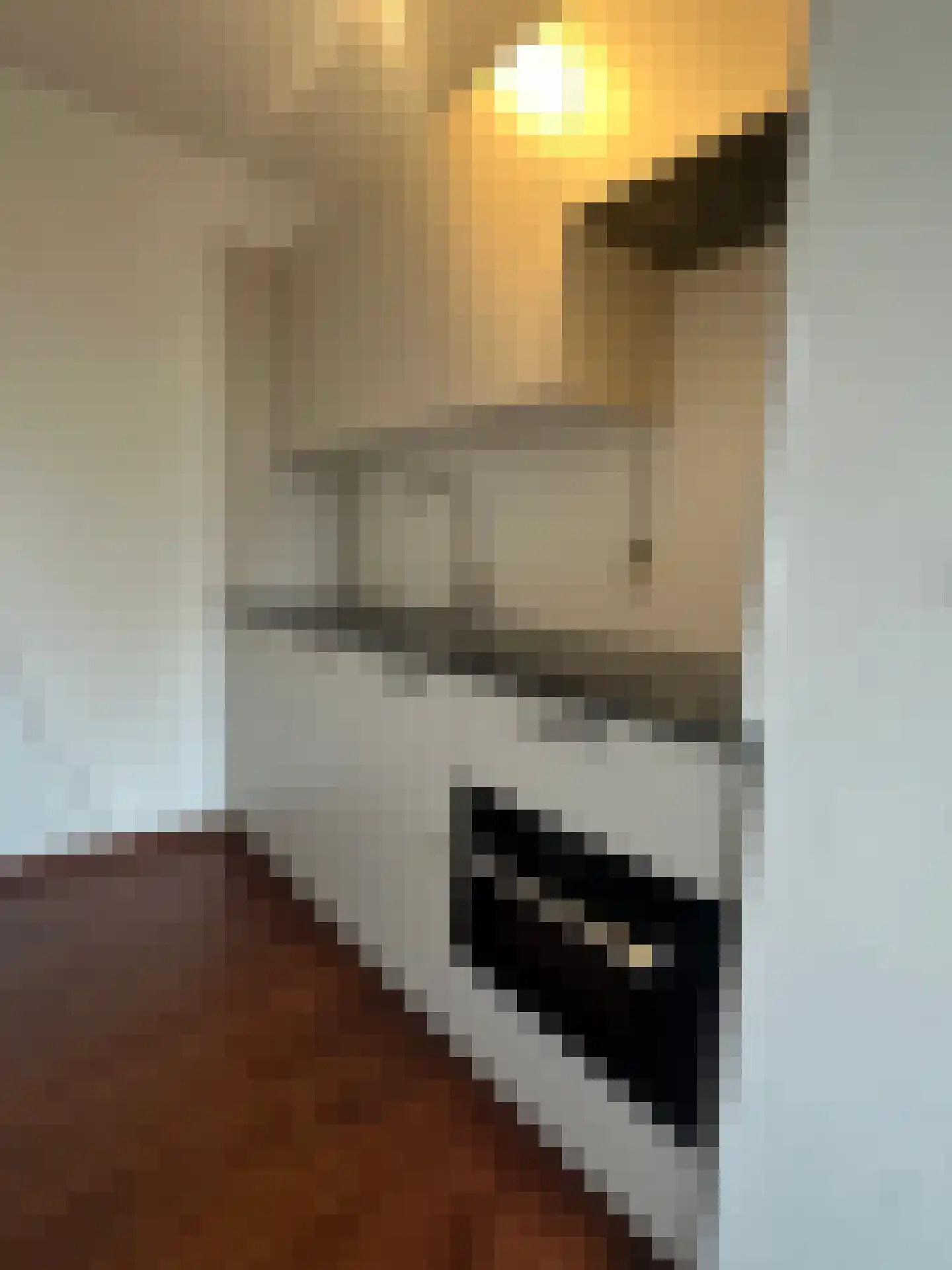 Voorterweg 214 Eindhoven thumbnail 7