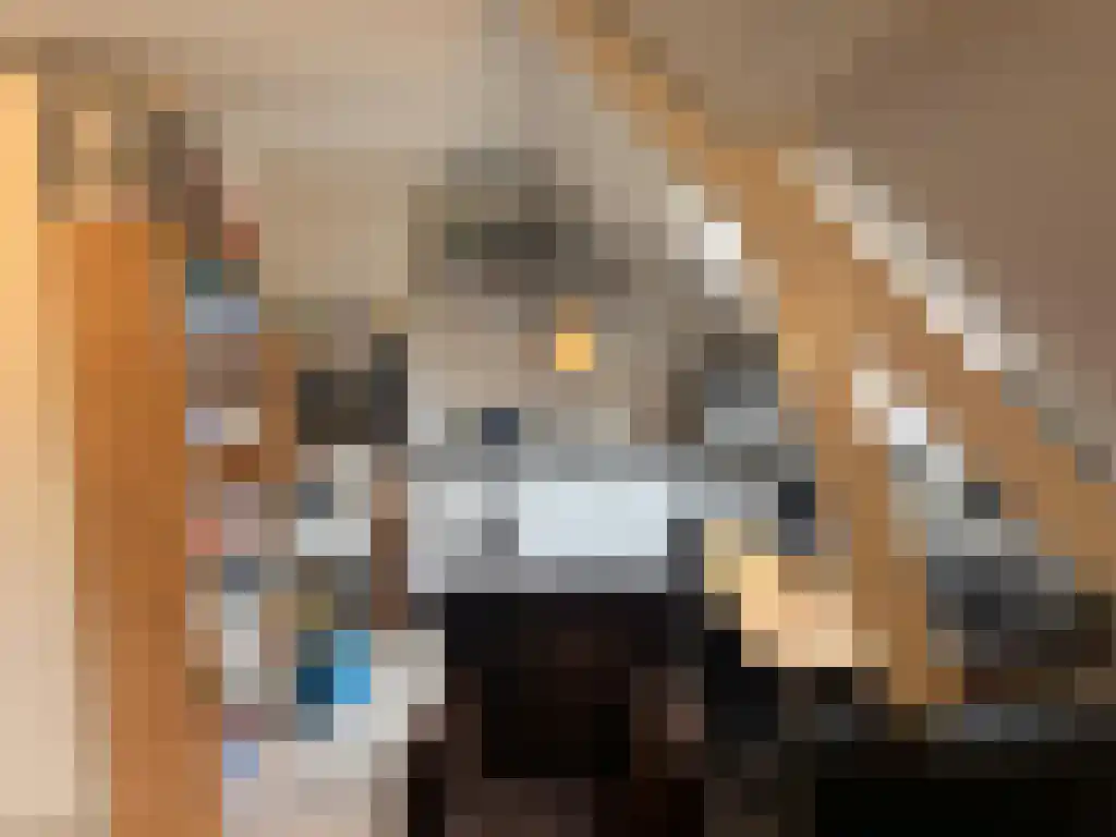 Voorterweg Eindhoven thumbnail 4