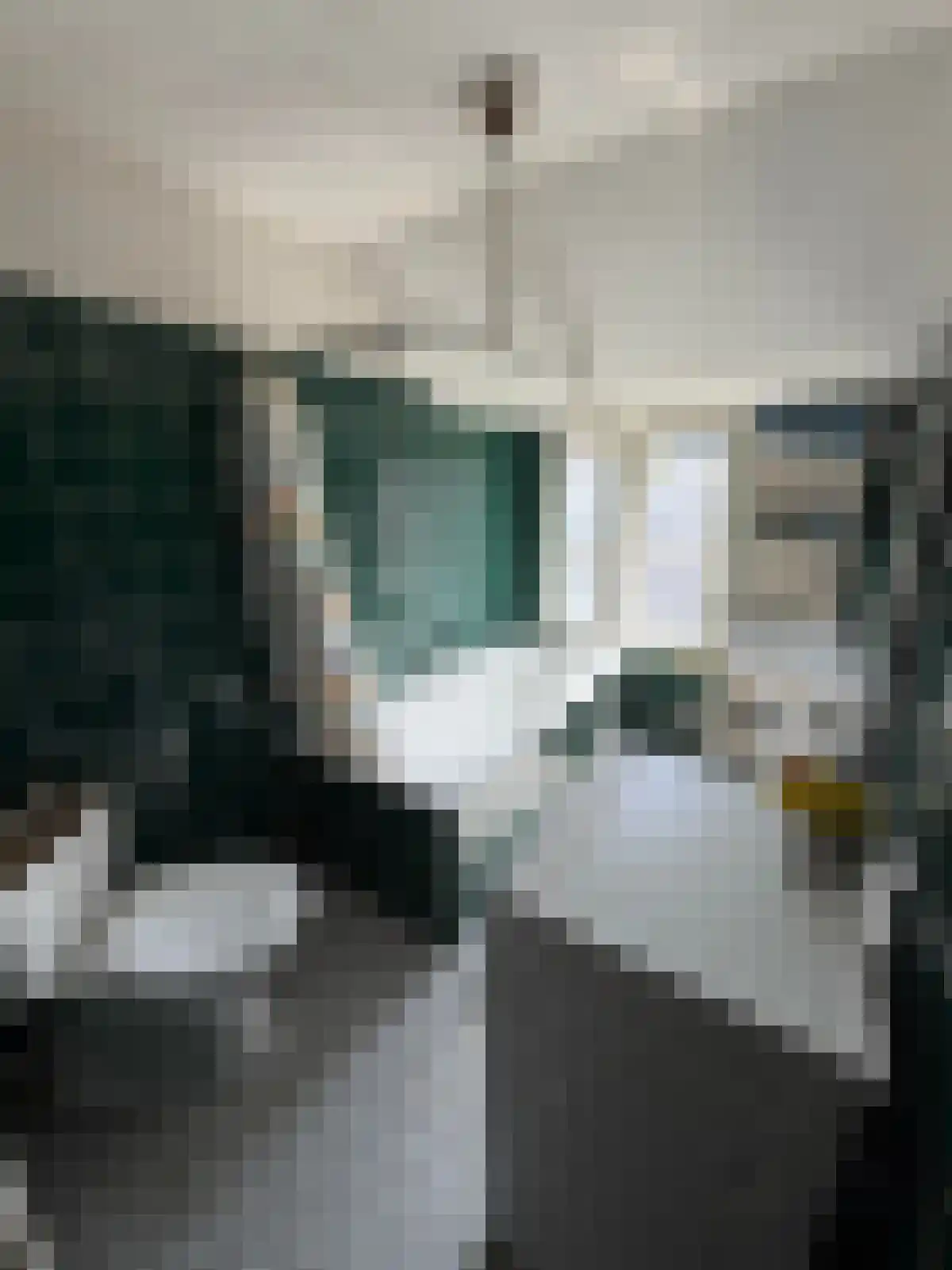 Voorterweg Eindhoven thumbnail 4