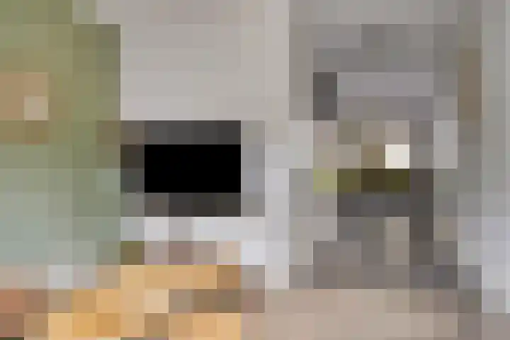 Voorthof 11 Riethoven thumbnail 11
