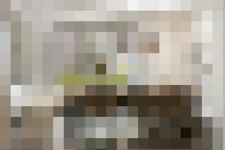 Voorthof 11 Riethoven thumbnail 12