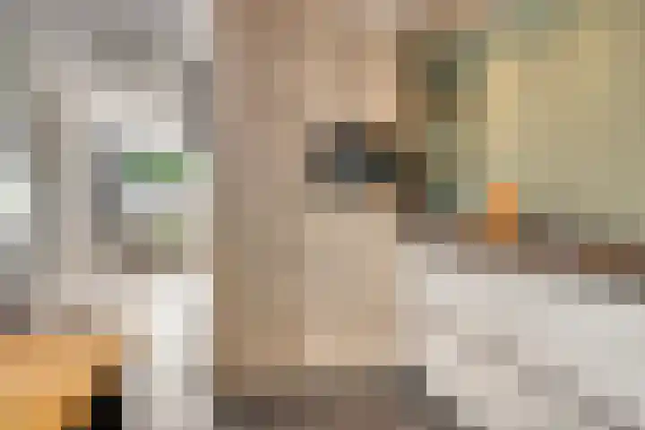 Voorthof 11 Riethoven thumbnail 14