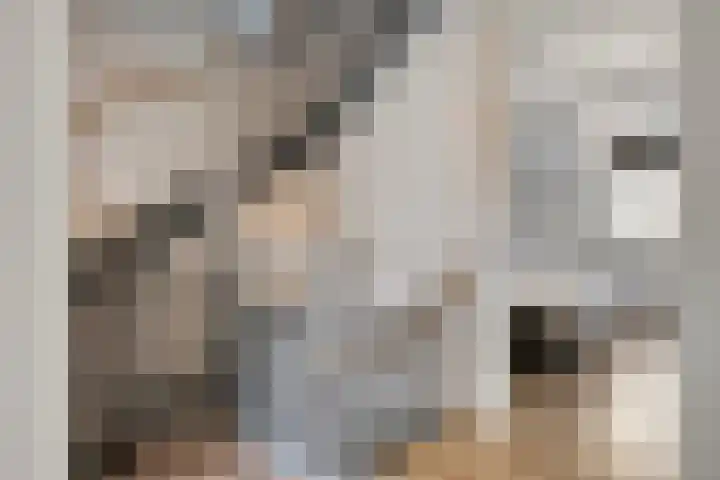 Voorthof 11 Riethoven thumbnail 19