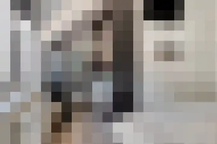 Voorthof 11 Riethoven thumbnail 23