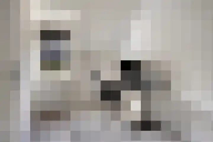 Voorthof 11 Riethoven thumbnail 26