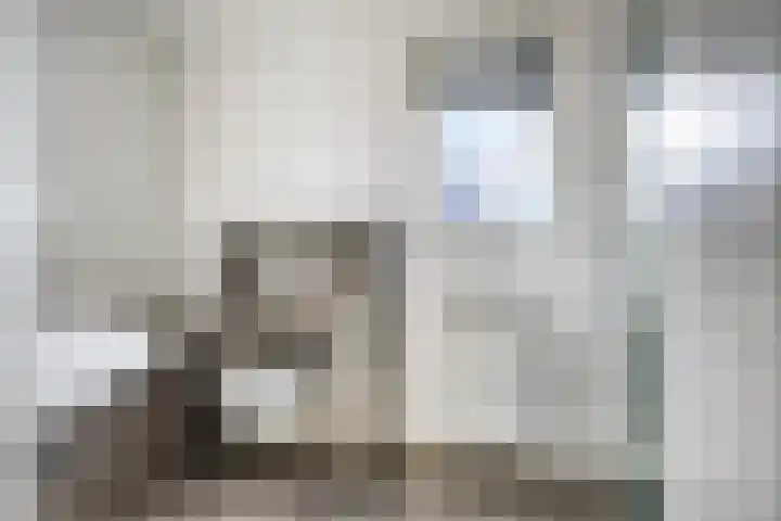 Voorthof 11 Riethoven thumbnail 29