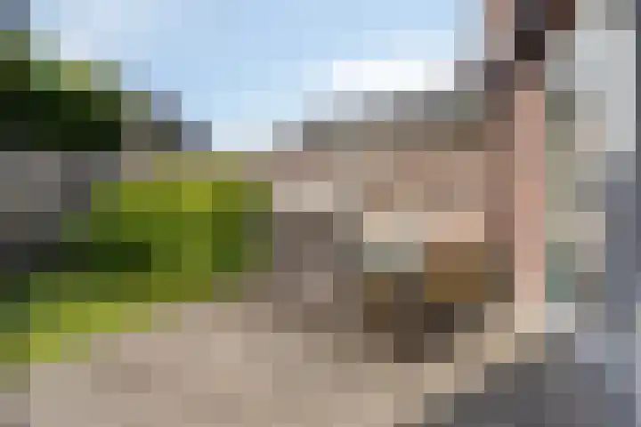 Voorthof 11 Riethoven thumbnail 35