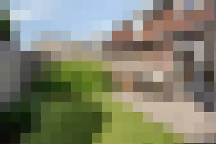 Voorthof 11 Riethoven thumbnail 36