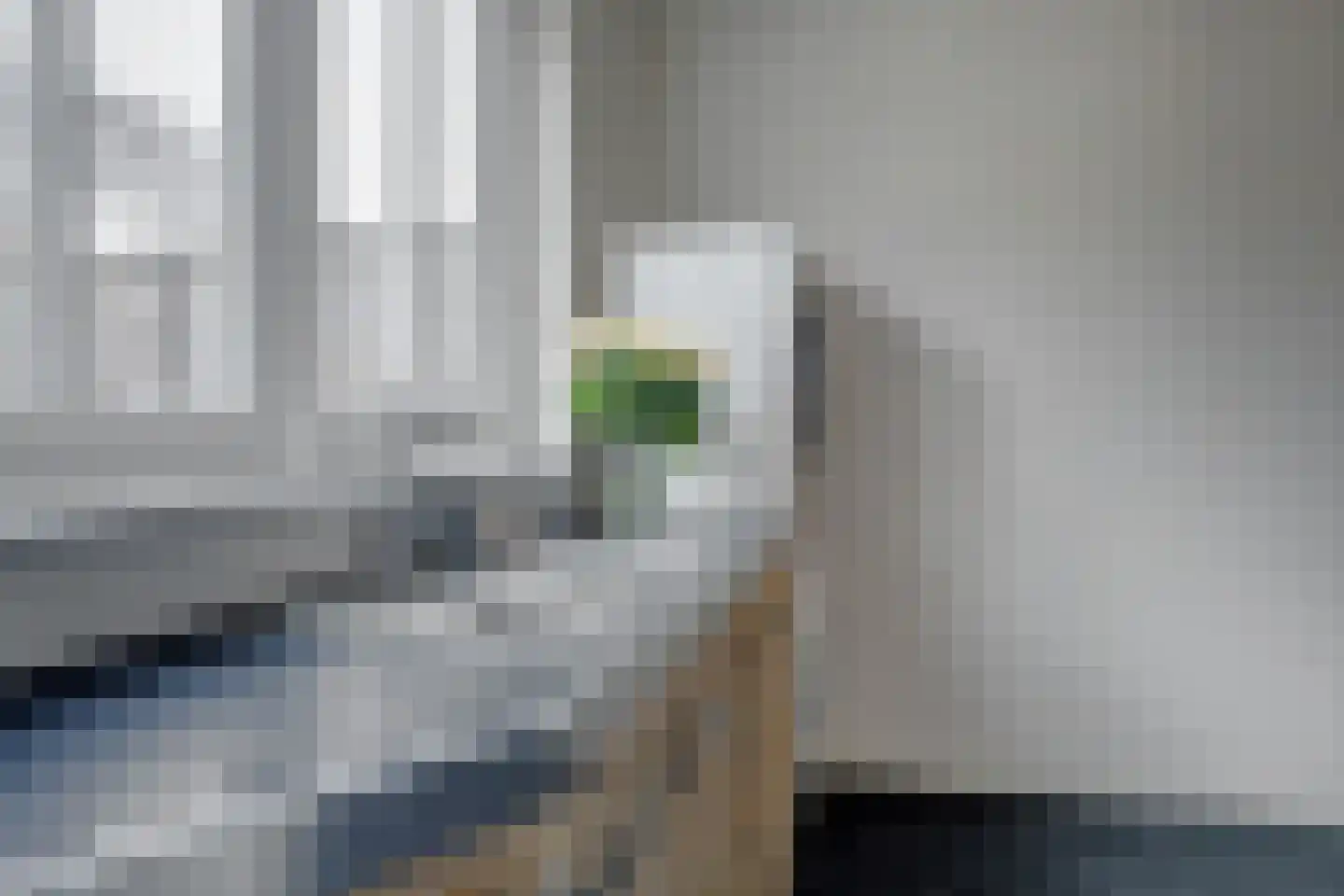 Voorthof 5 Riethoven thumbnail 19