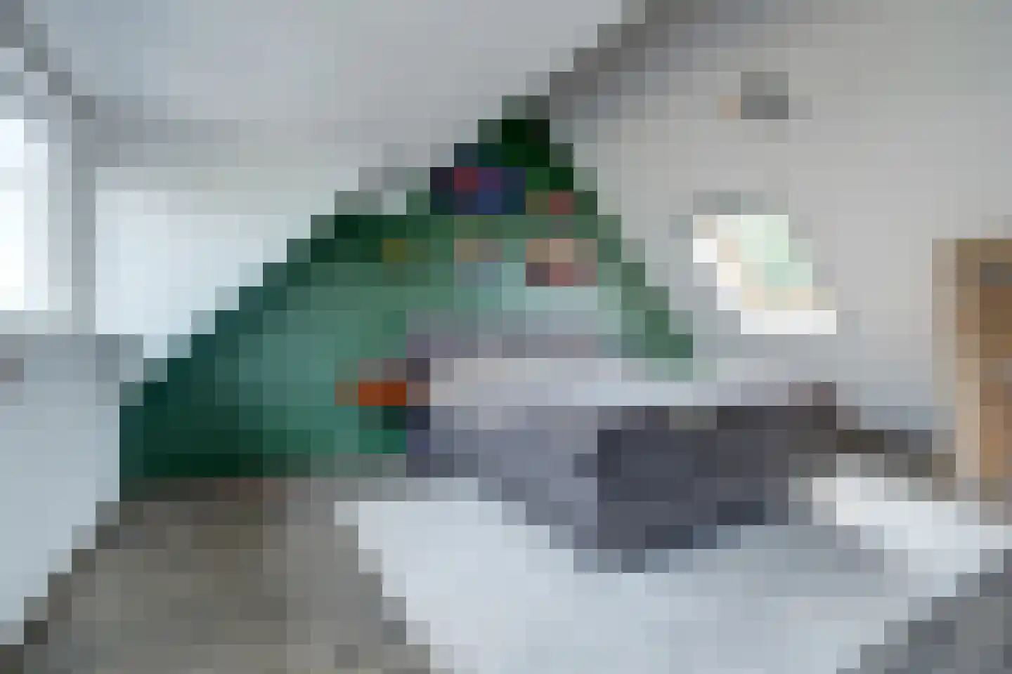 Voorthof 5 Riethoven thumbnail 30