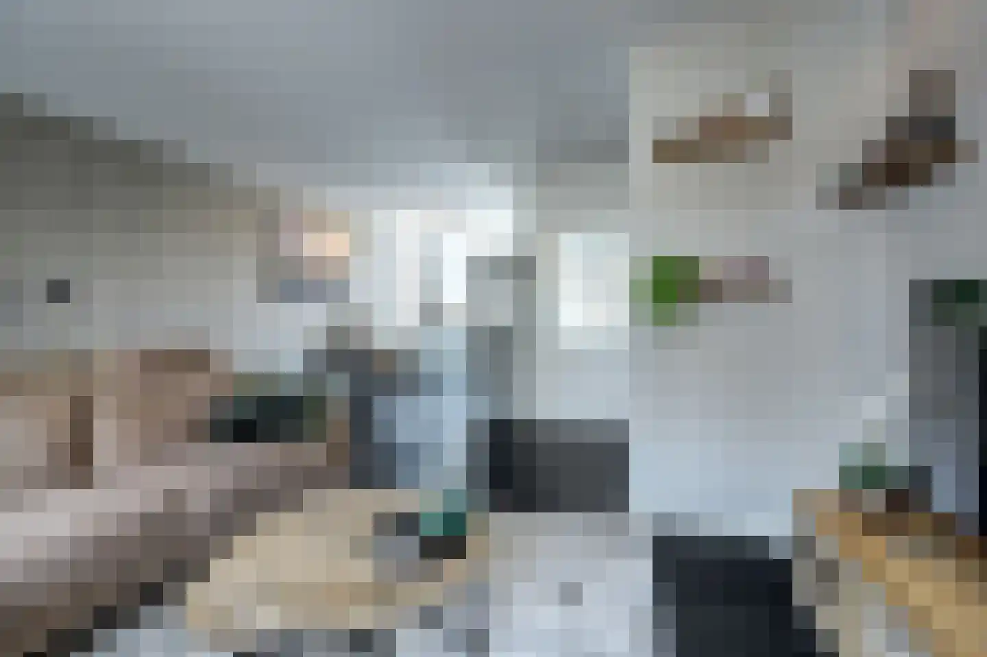 Voorthof 5 Riethoven thumbnail 8