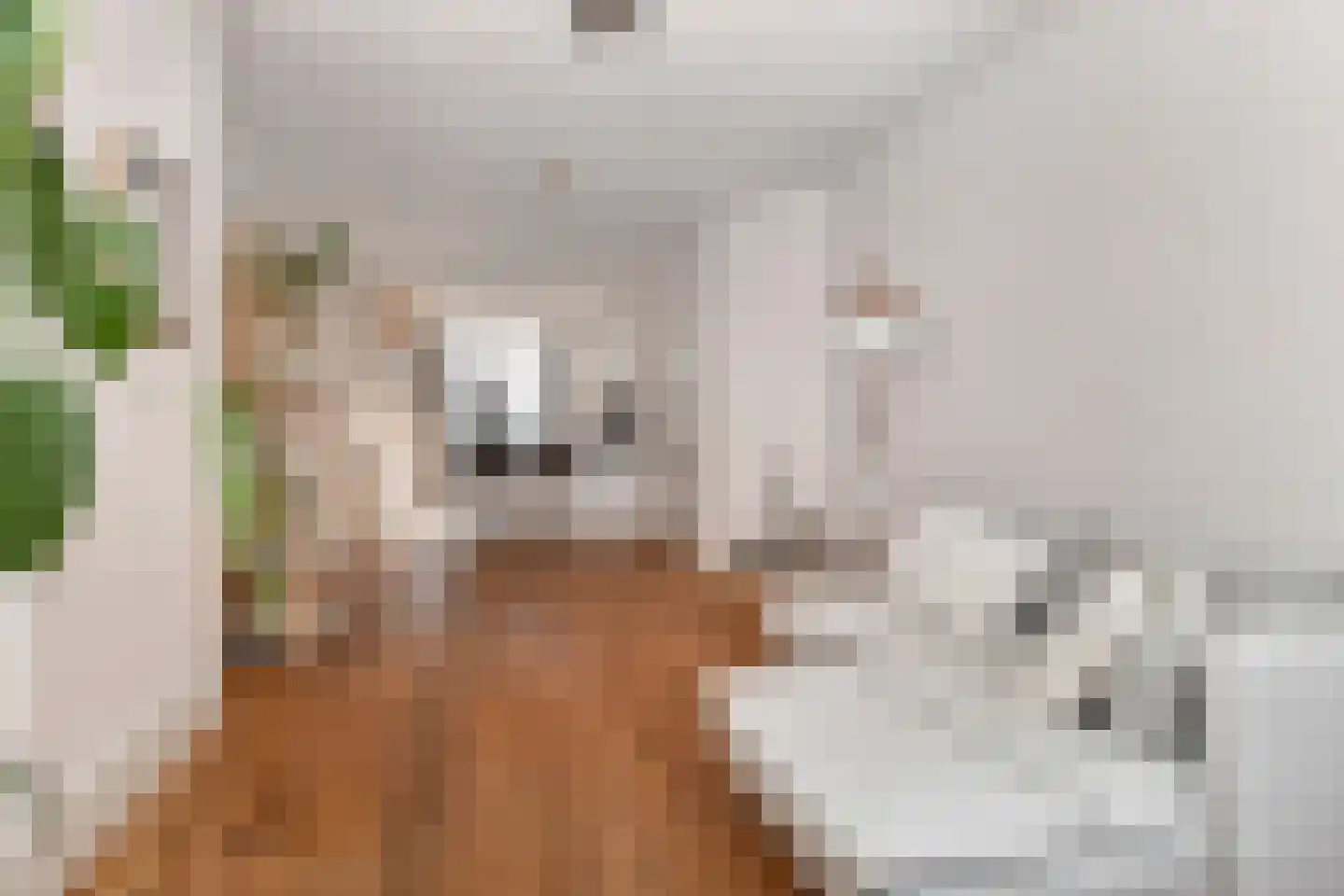 Voorthuizenstraat 11 Den Haag thumbnail 8