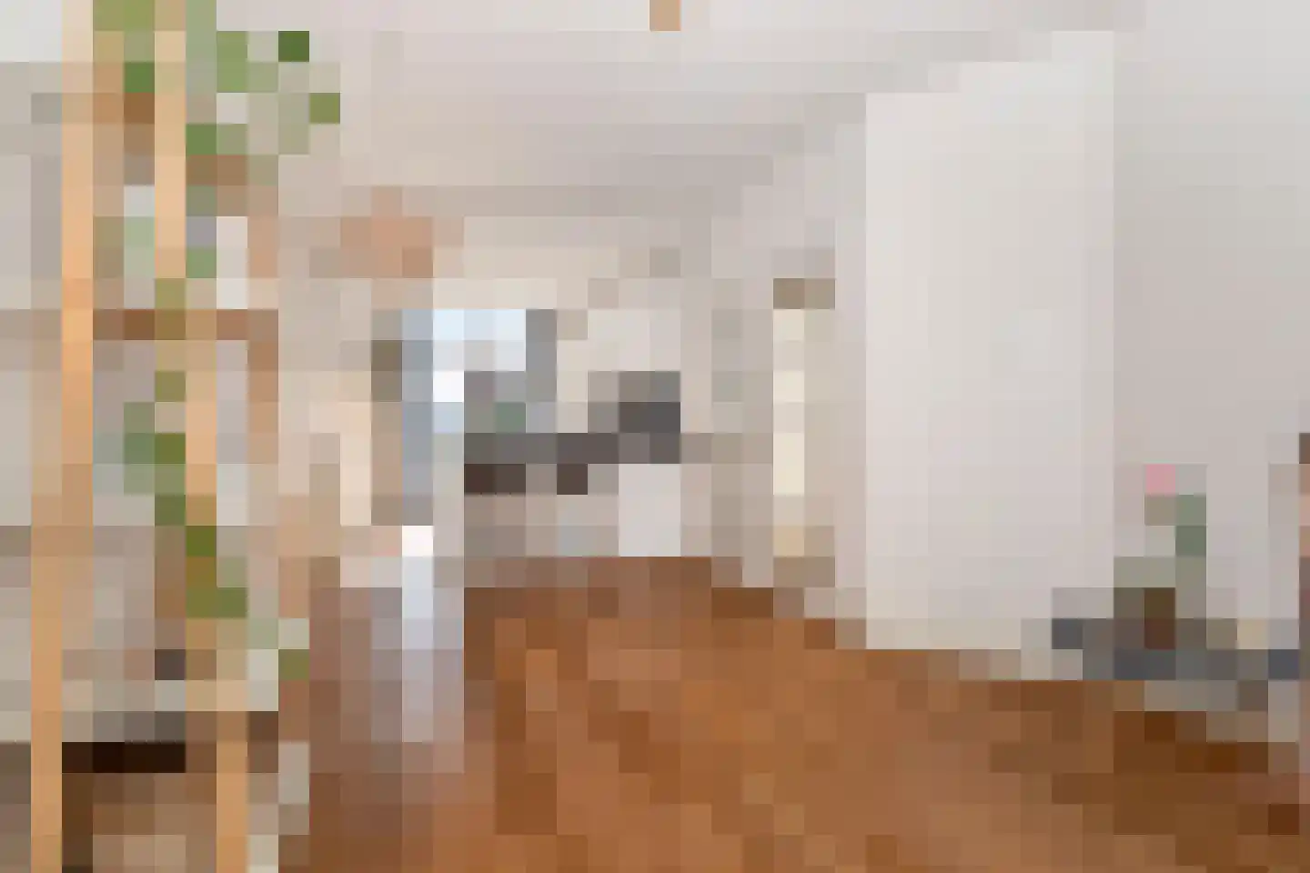 Voorthuizenstraat 11 Den Haag thumbnail 9