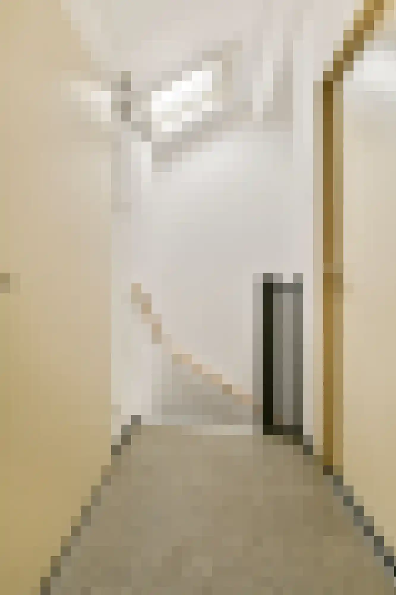 Voorthuizenstraat 113 Amsterdam thumbnail 12