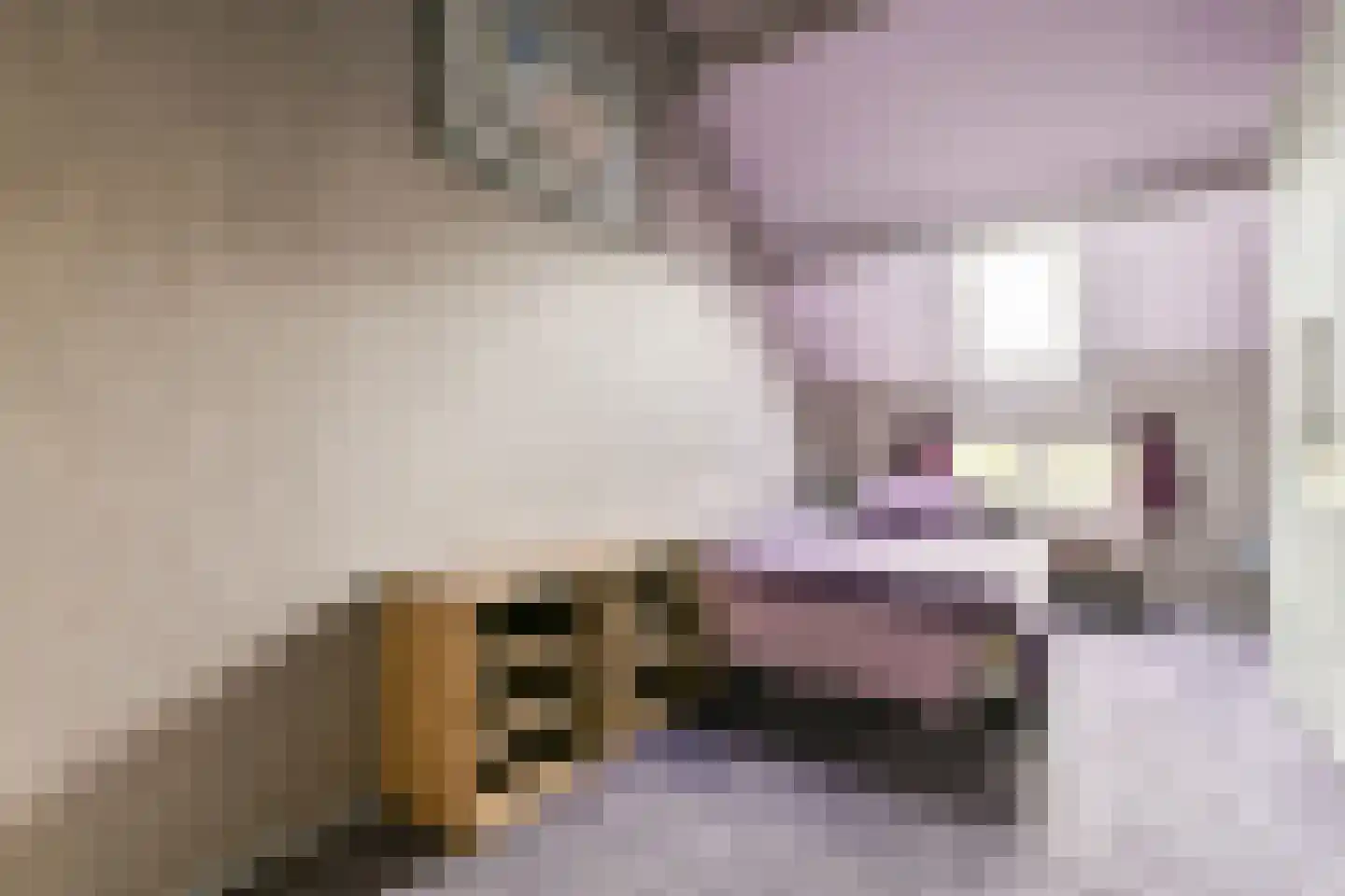 Voorthuizenstraat 113 Amsterdam thumbnail 16