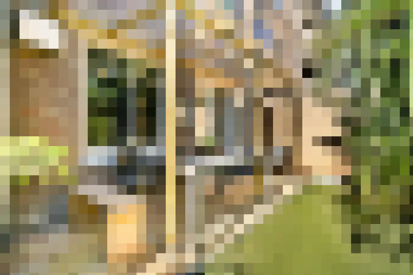 Voorthuizenstraat 119 Amsterdam thumbnail 11