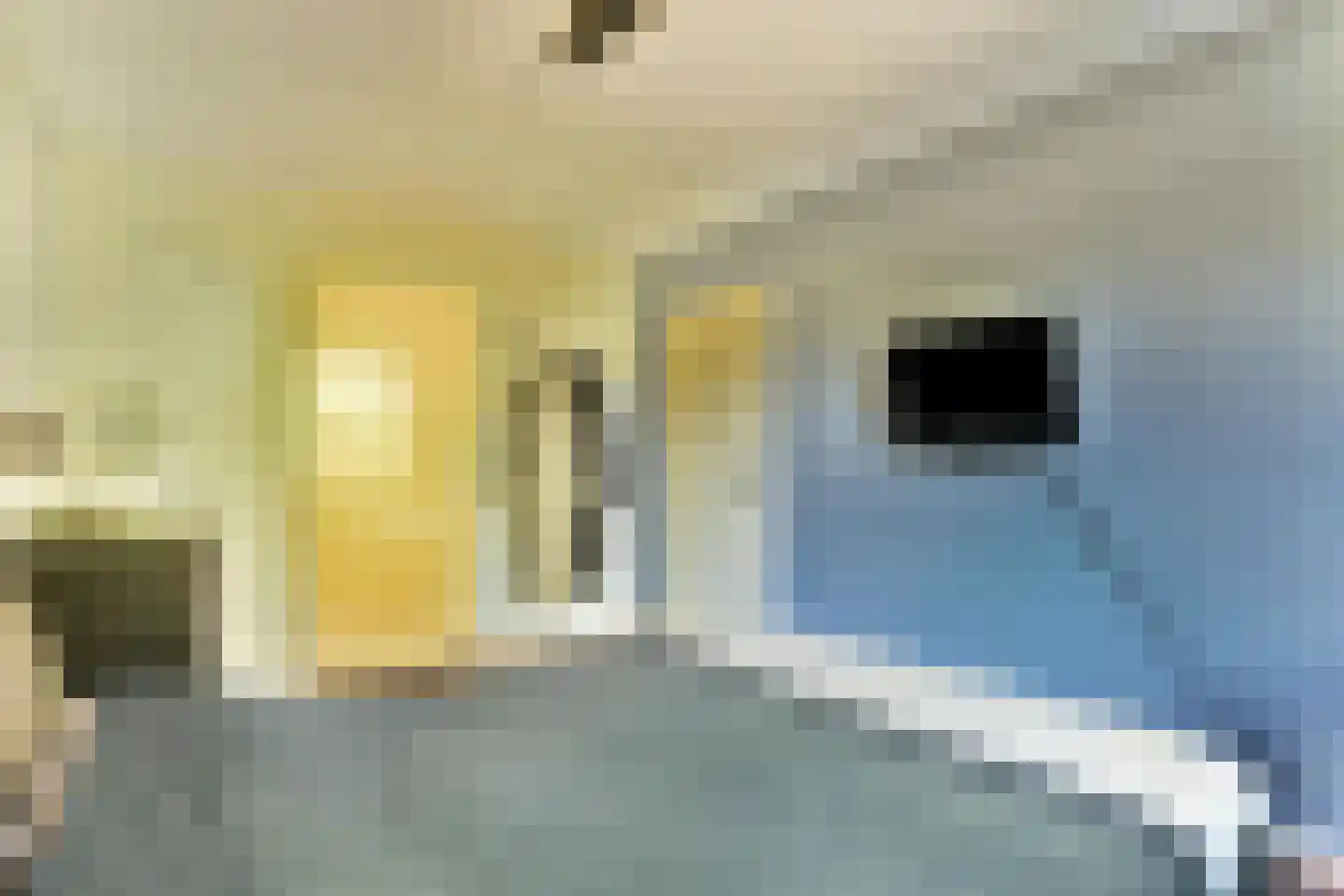 Voorthuizenstraat 119 Amsterdam thumbnail 15
