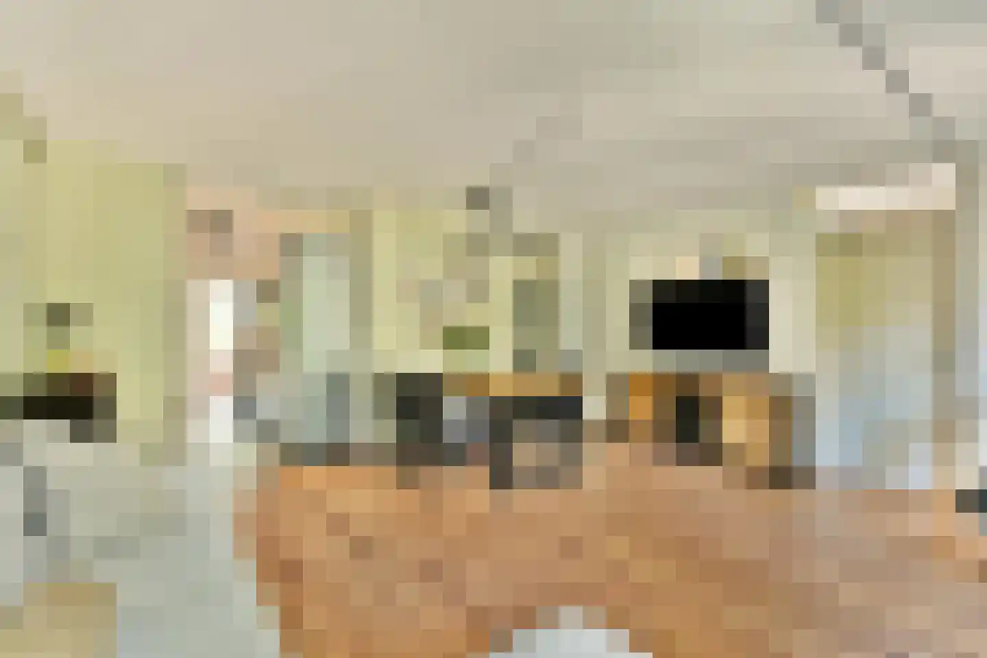 Voorthuizenstraat 119 Amsterdam thumbnail 6