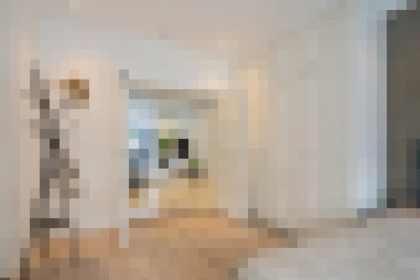 Voorthuizenstraat 157 Den Haag thumbnail 23