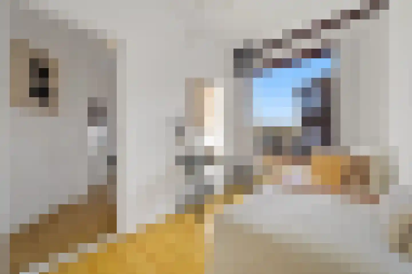 Voorthuizenstraat 203 Den Haag thumbnail 17