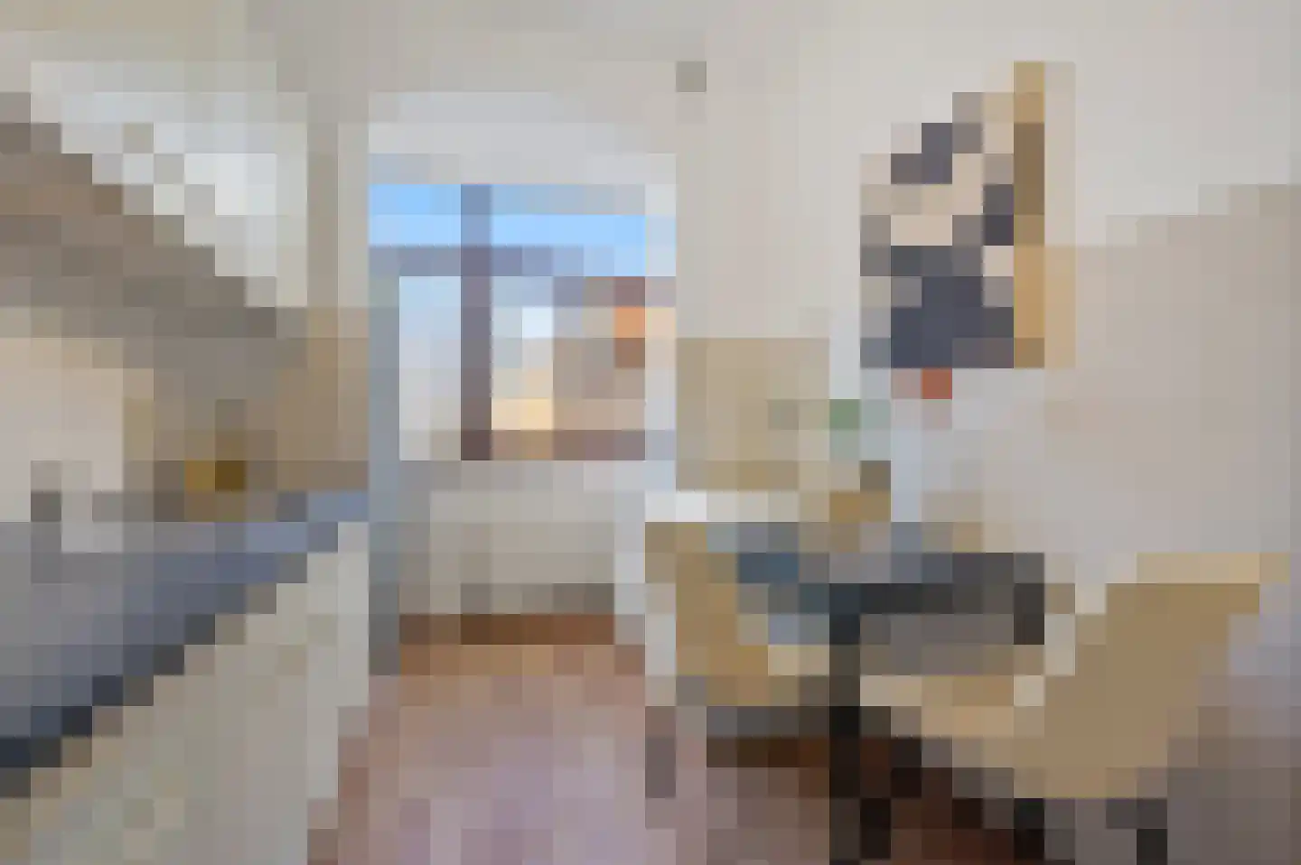 Voorthuizenstraat 203 Den Haag thumbnail 8