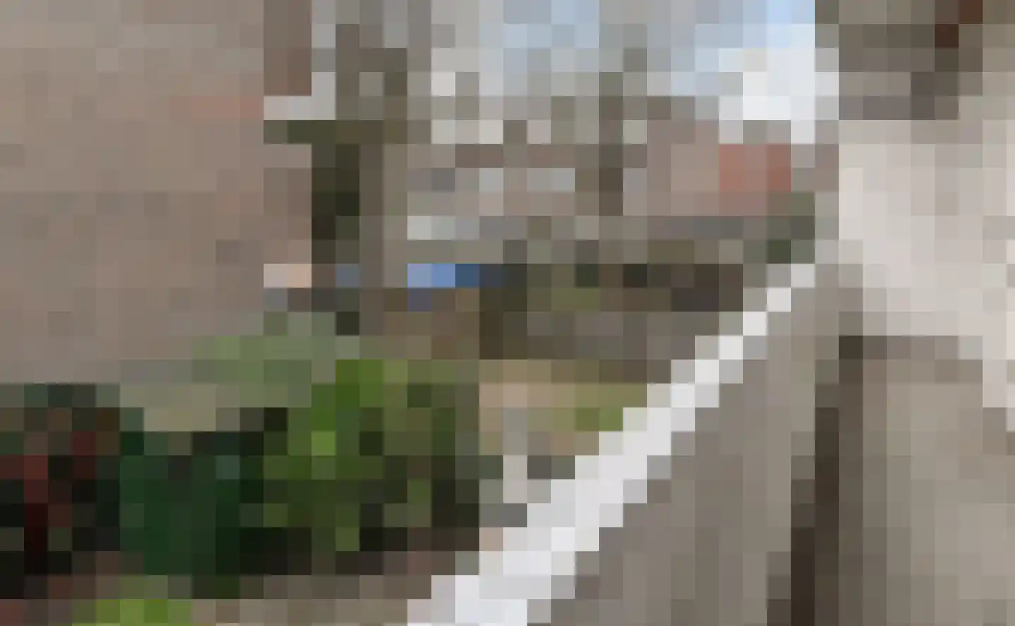 Voorthuizenstraat 69 Den Haag thumbnail 4
