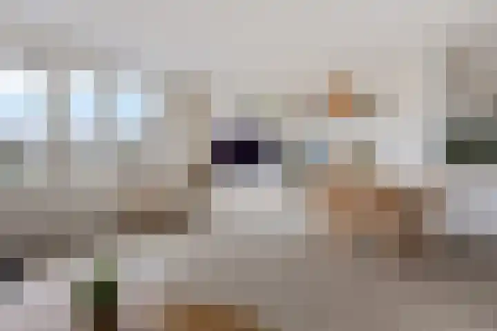 Voorthuizenstraat 79 Amsterdam thumbnail 9