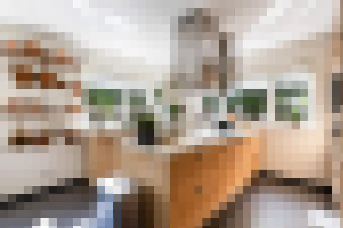 Voorthuizerstraat 136 Putten thumbnail 8