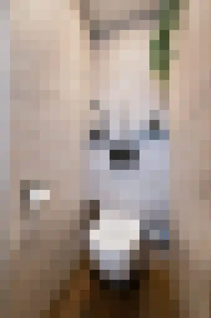 Voorthuizerstraat 15 Putten thumbnail 18