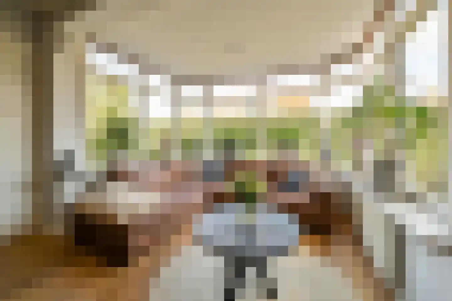 Voorthuizerstraat 15 Putten thumbnail 9