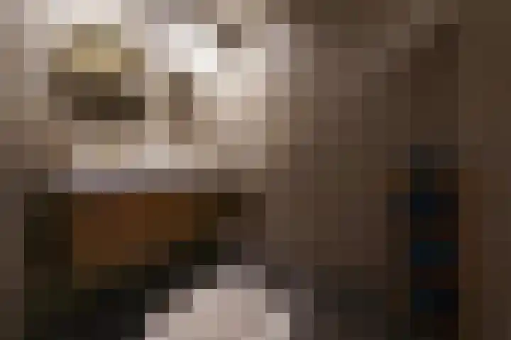 Voorthuizerstraat 17 Putten thumbnail 29