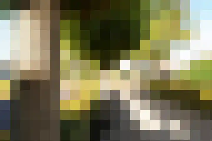 Voorthuizerstraat 17 Putten thumbnail 5