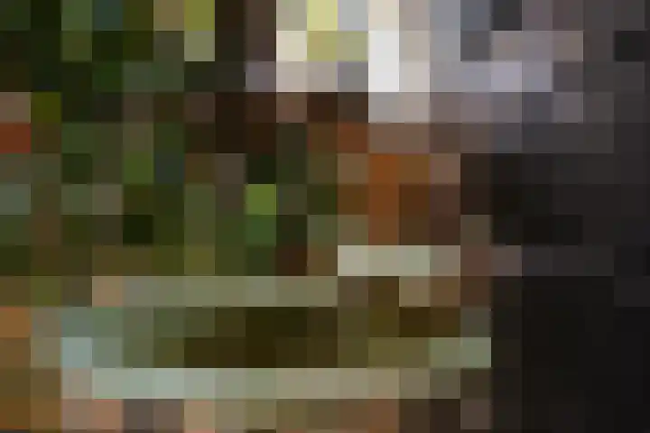 Voorthuizerstraat 17 Putten thumbnail 64