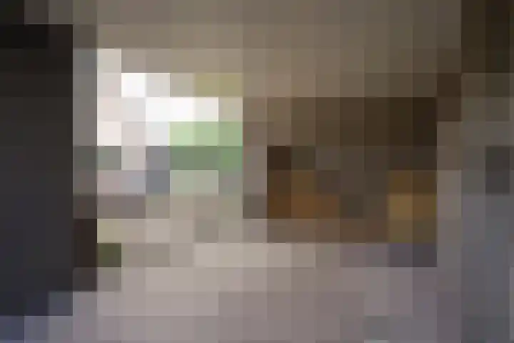 Voorthuizerstraat 17 Putten thumbnail 66