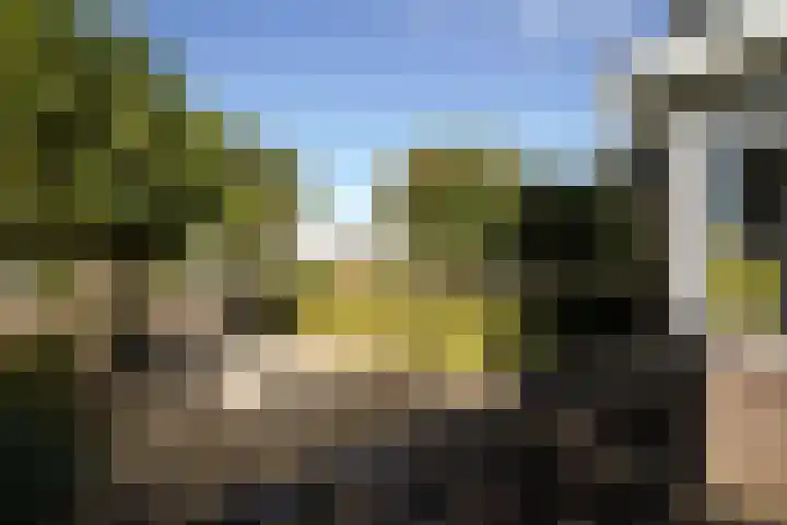 Voorthuizerstraat 17 Putten thumbnail 71