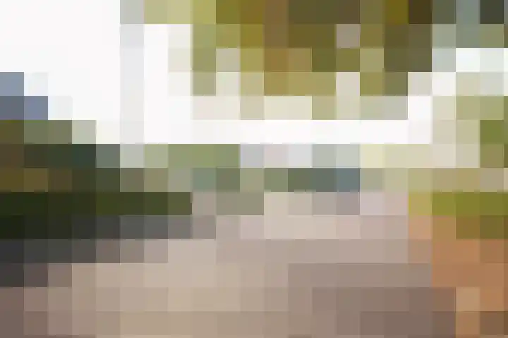 Voorthuizerstraat 17 Putten thumbnail 76