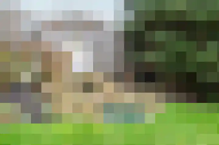 Voorthuizerstraat 21 Putten thumbnail 11