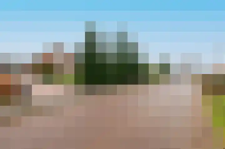 Voorthuizerstraat 21 Putten thumbnail 19