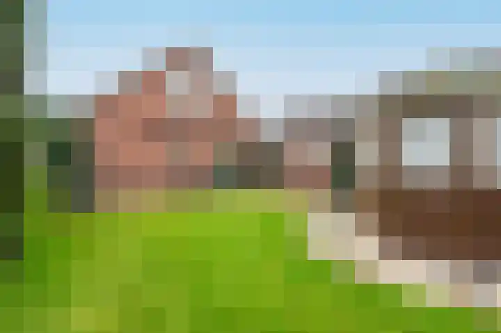 Voorthuizerstraat 21 Putten thumbnail 7