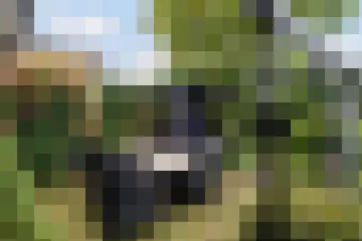Voorthuizerstraat 37 A Putten thumbnail 31
