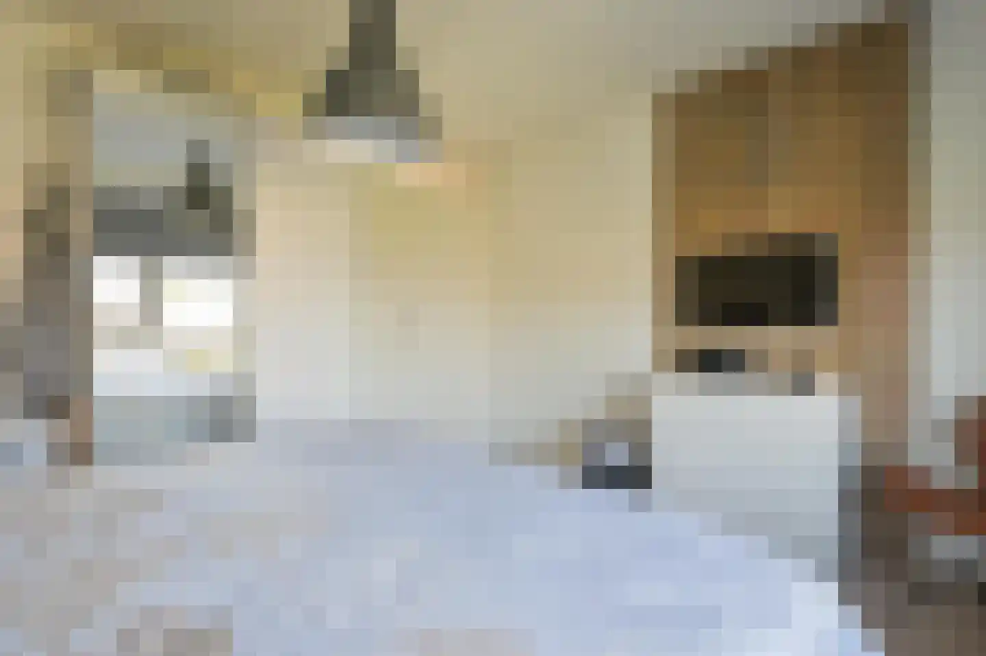 Voorthuizerstraat 39 Putten thumbnail 31