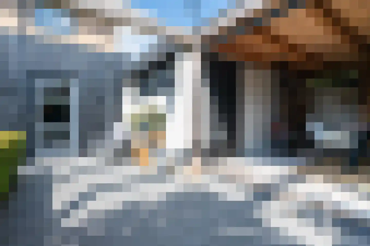 Voorthuizerstraat 39 Putten thumbnail 52