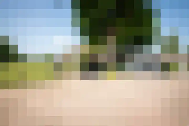 Voorthuizerstraat 91 Putten thumbnail 33