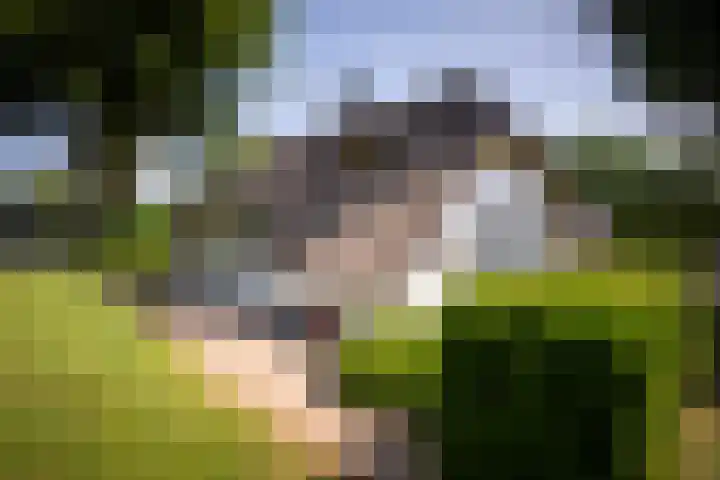 Voorthuizerstraat 91 Putten thumbnail 37