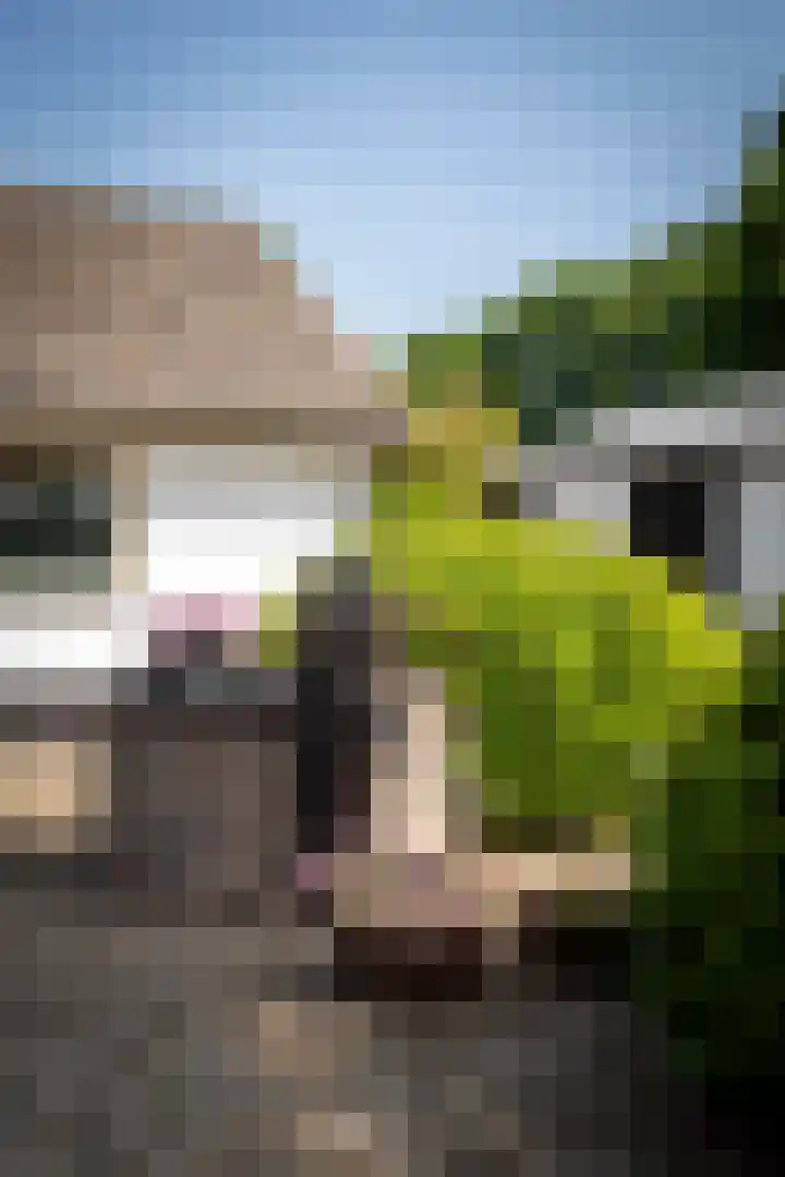 Voorthuizerstraat 91 Putten thumbnail 43