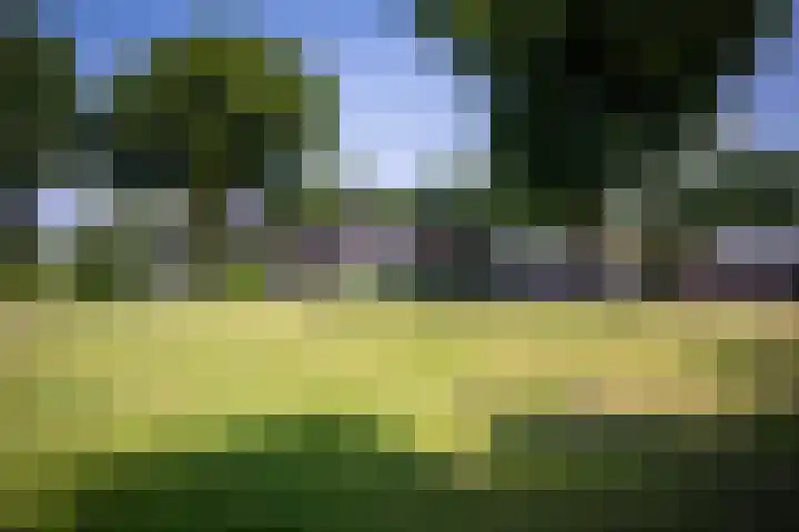 Voorthuizerstraat 91 Putten thumbnail 47
