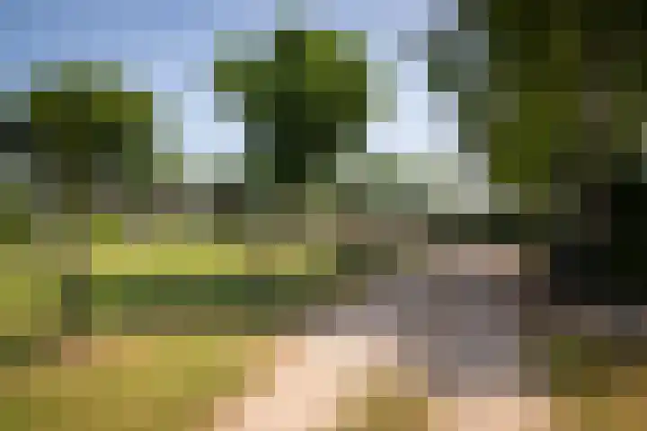 Voorthuizerstraat 91 Putten thumbnail 48
