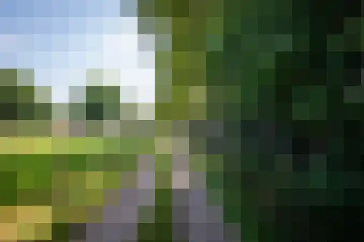 Voorthuizerstraat 91 Putten thumbnail 49
