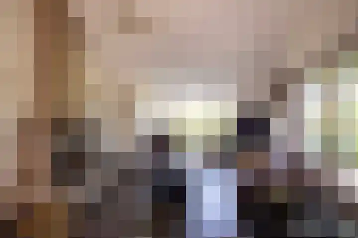 Voorthuizerstraat 91 Putten thumbnail 6